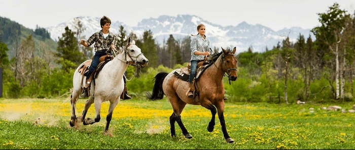 Confident plus-size woman riding Bloxwich a horse through a field with a smile on her face.